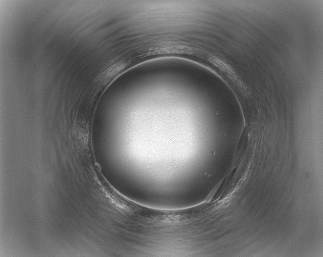 X0000059820841200510211144