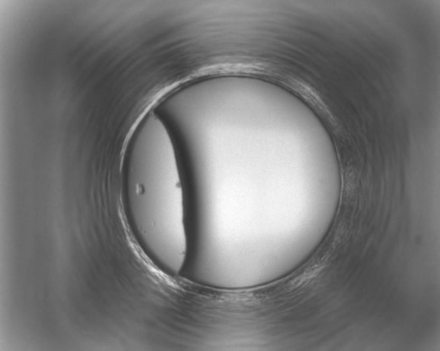 X0000059820844200510211144