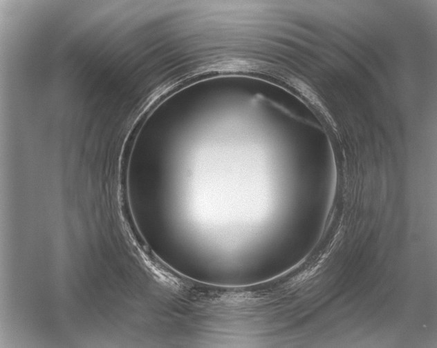 X0000059820845200510211144