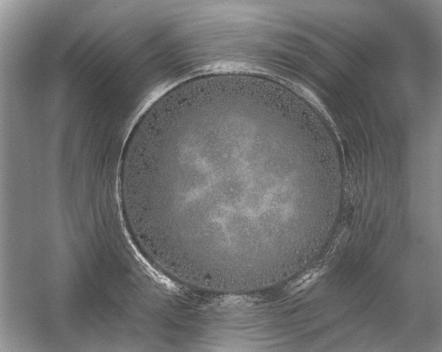 X0000059820847200510211145