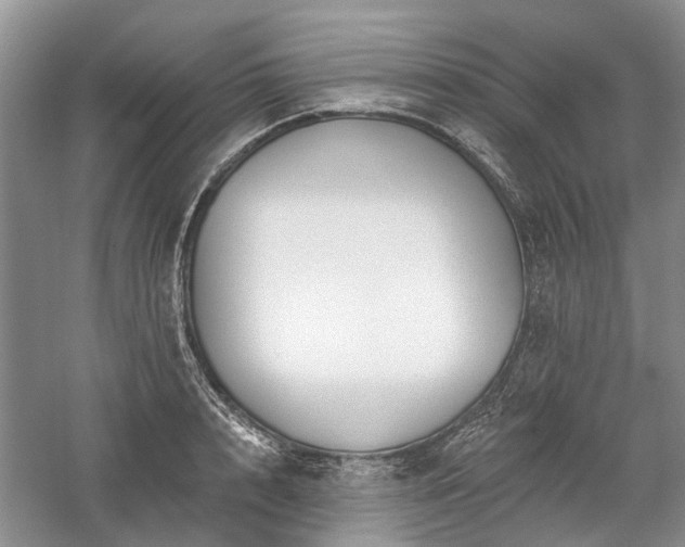 X0000059820848200510211145