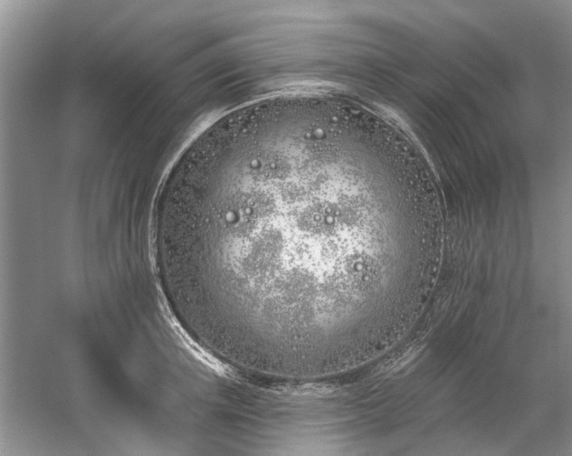 X0000059820851200510211145