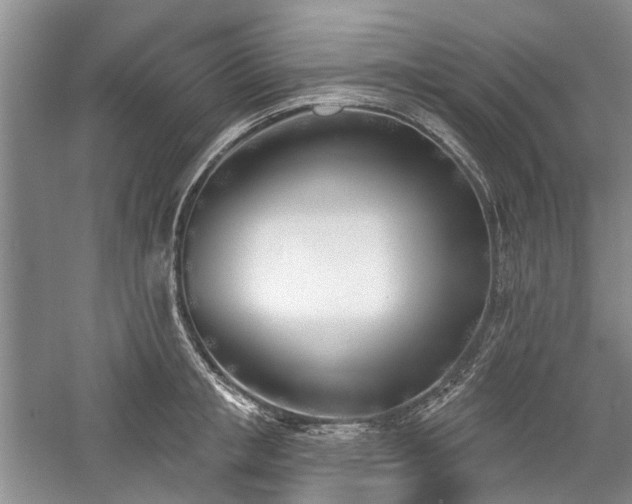 X0000059820853200510211145