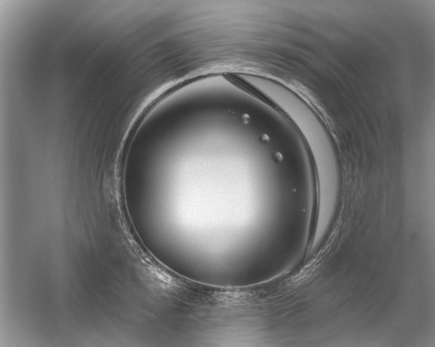 X0000059820854200510211145