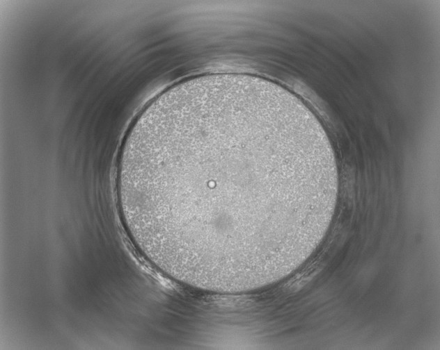 X0000059820856200510211145