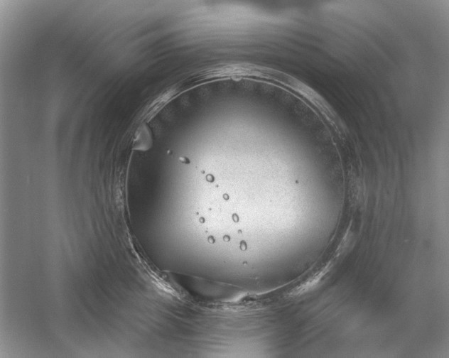 X0000059820857200510211145