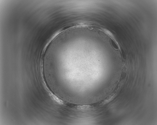 X0000059820859200510211145