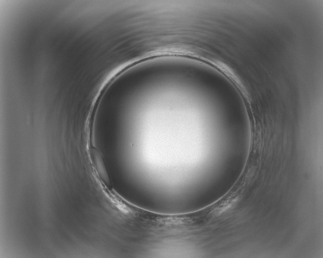 X0000059820862200510211145