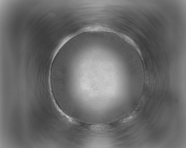 X0000059820863200510211145