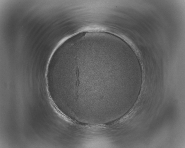 X0000059820864200510211145