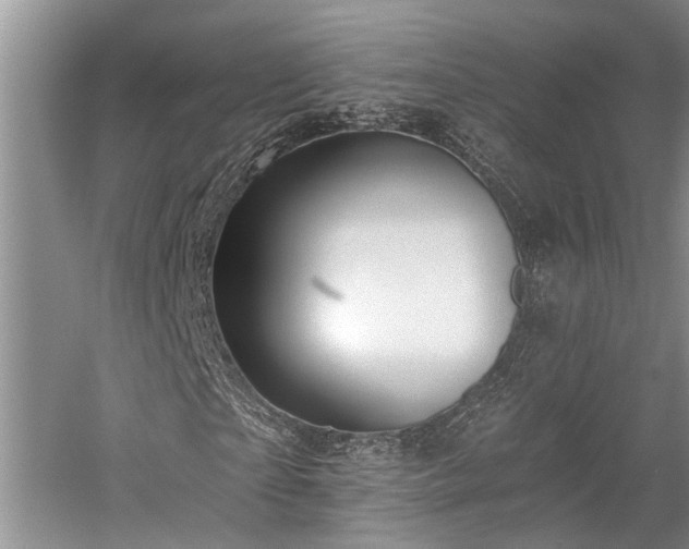 X0000059820865200510211144