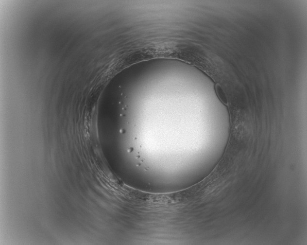 X0000059820866200510211144