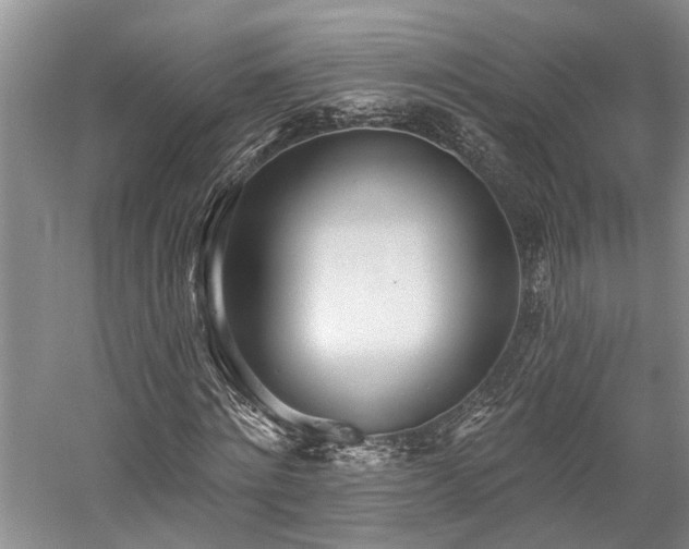 X0000059820868200510211144