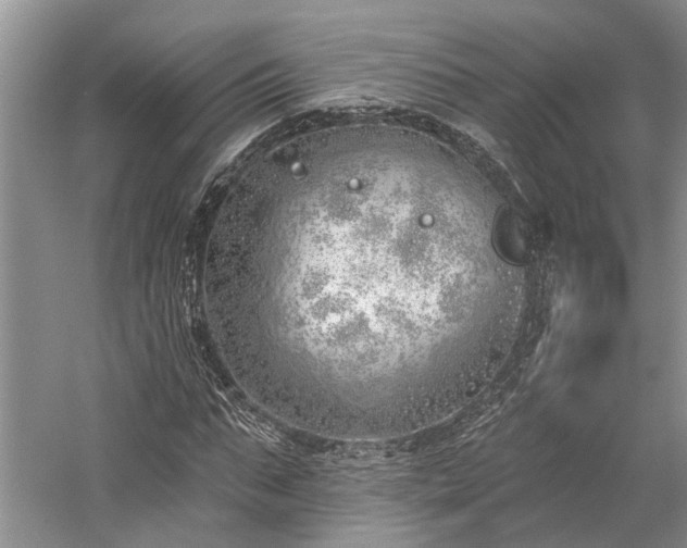 X0000059820871200510211144