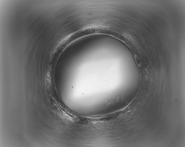 X0000059820872200510211144