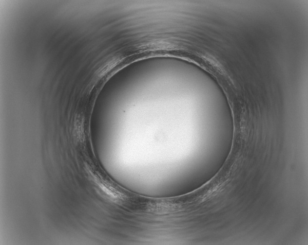 X0000059820873200510211144