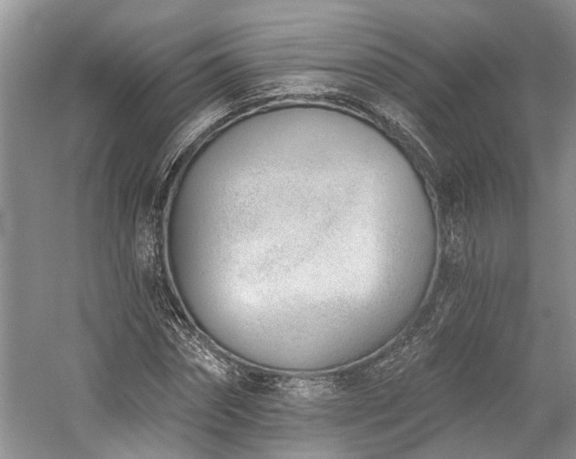 X0000059820874200510211144