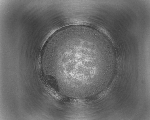 X0000059820875200510211144