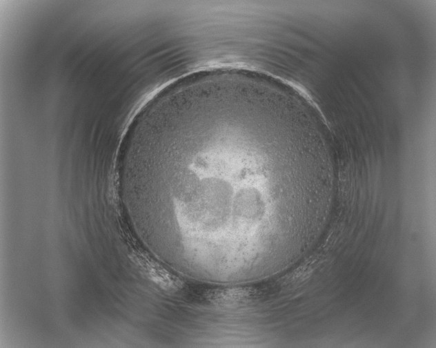 X0000059820879200510211144