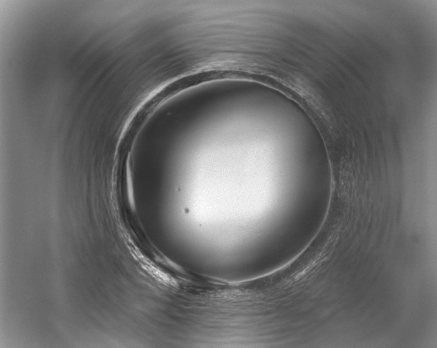 X0000059820880200510211144