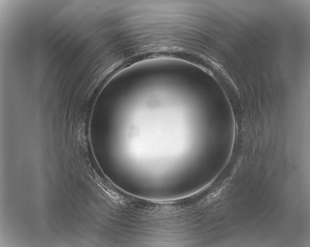 X0000059820881200510211144