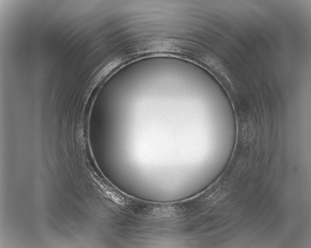 X0000059820882200510211144