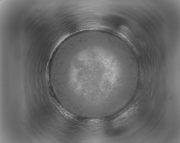 X0000059820883200510211144