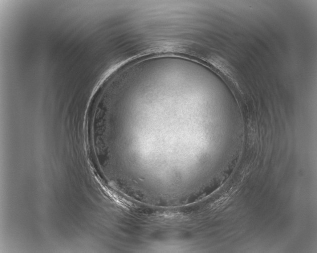 X0000059820886200510211144