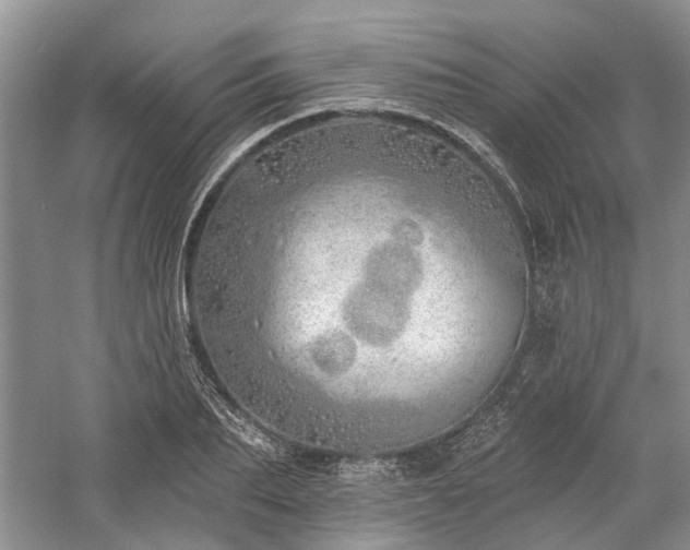 X0000059820887200510211144