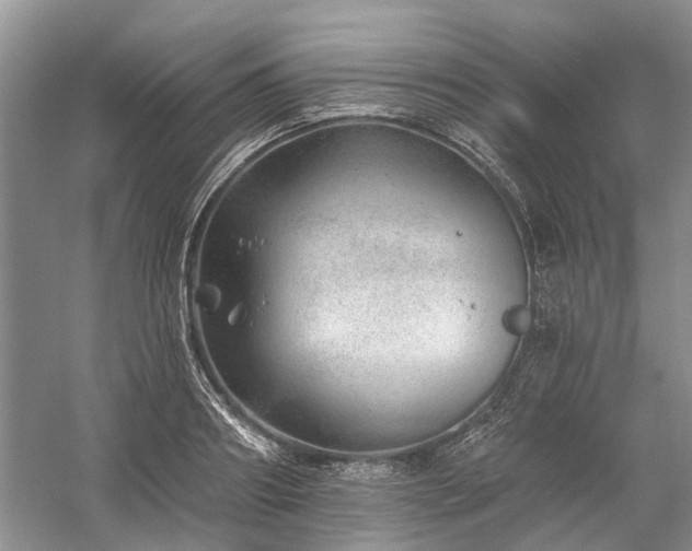 X0000059820890200510211144