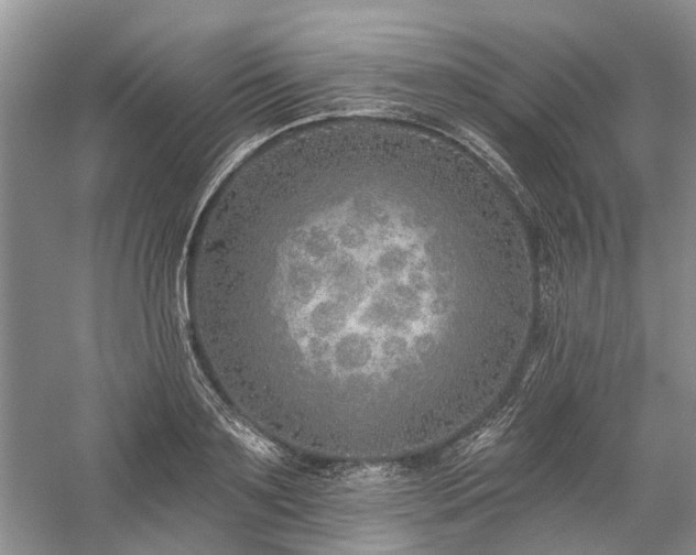 X0000059820891200510211144