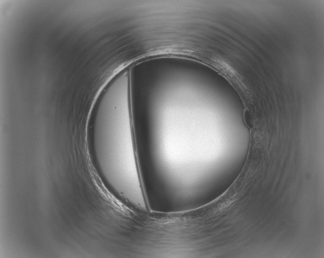 X0000059820892200510211144