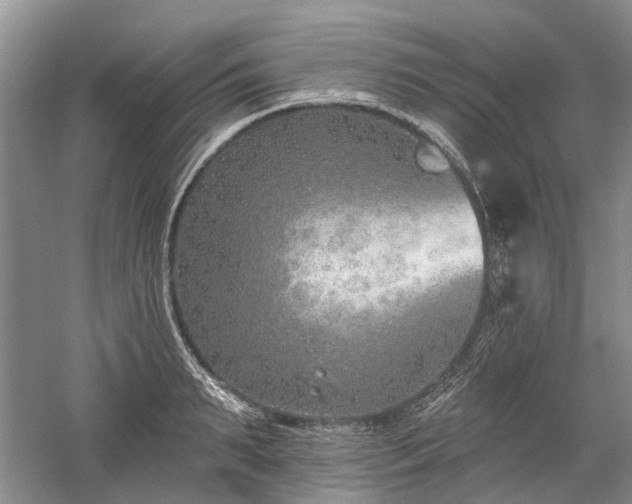 X0000059820895200510211143