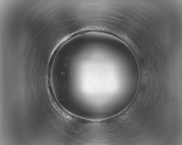 X0000059820896200510211143