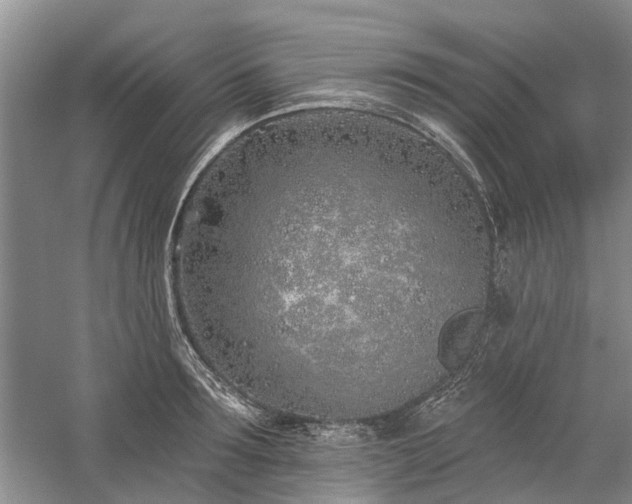 X0000059820899200510211143