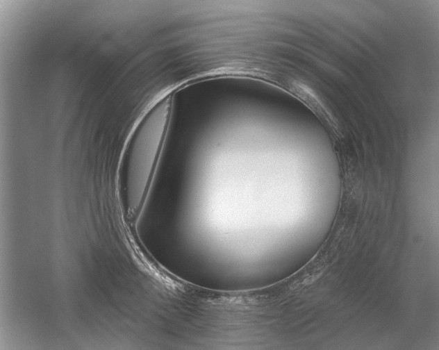 X0000059820900200510211143