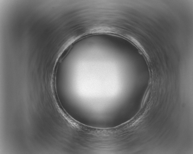 X0000059820901200510211143