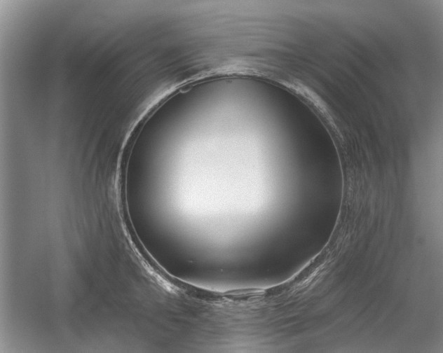 X0000059820902200510211143