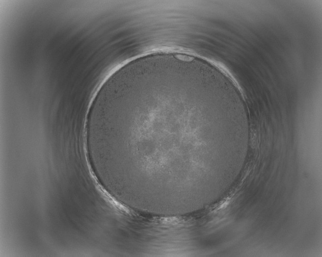 X0000059820903200510211143