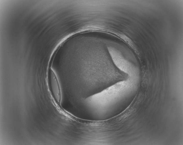 X0000059820904200510211143