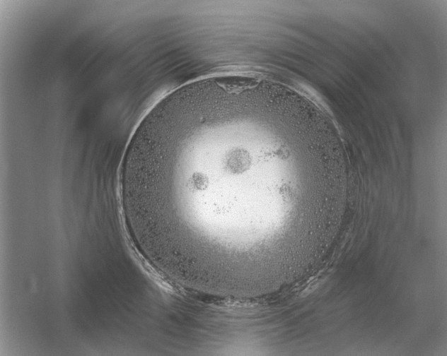 X0000059820907200510211143