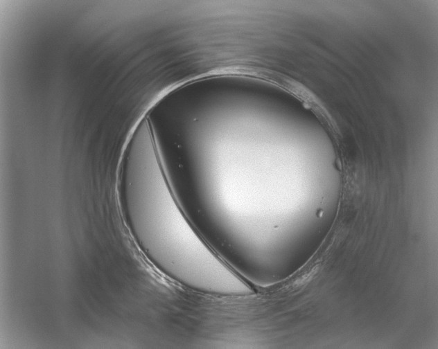 X0000059820908200510211143