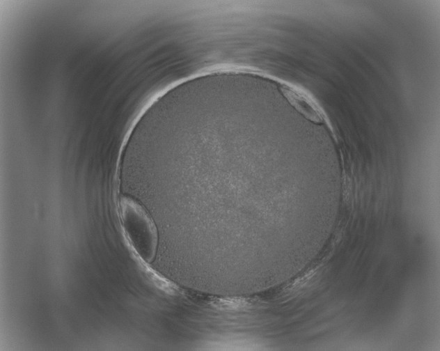 X0000059820911200510211143