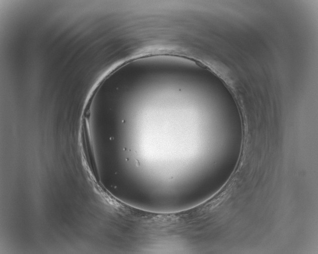 X0000059820912200510211143