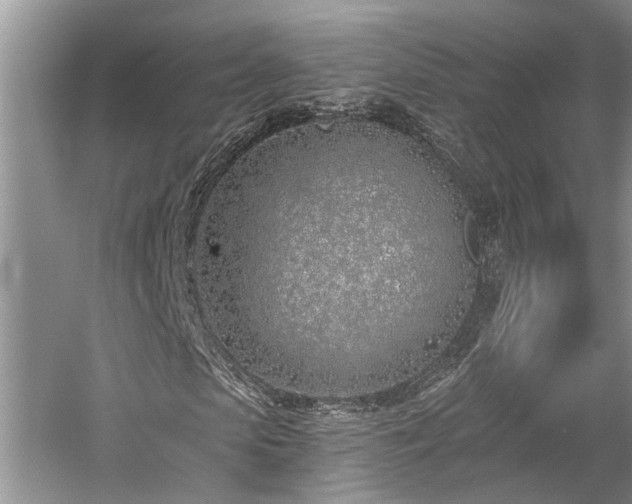 X0000059820913200510211142