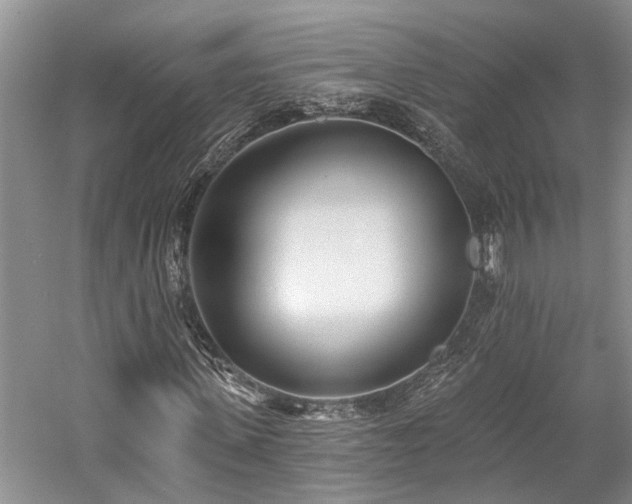 X0000059820915200510211142