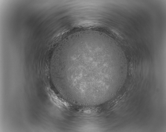 X0000059820917200510211142