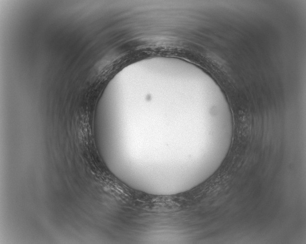 X0000059820918200510211142