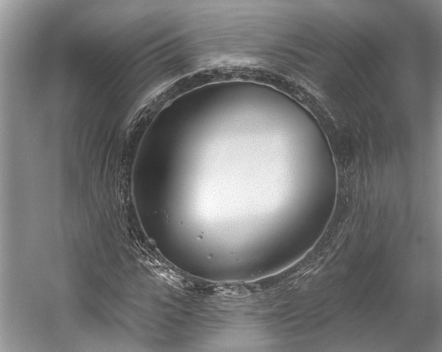 X0000059820919200510211142