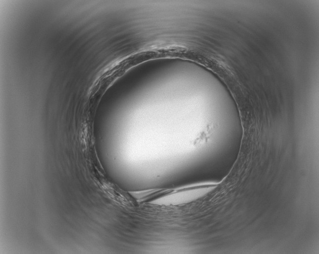 X0000059820920200510211142